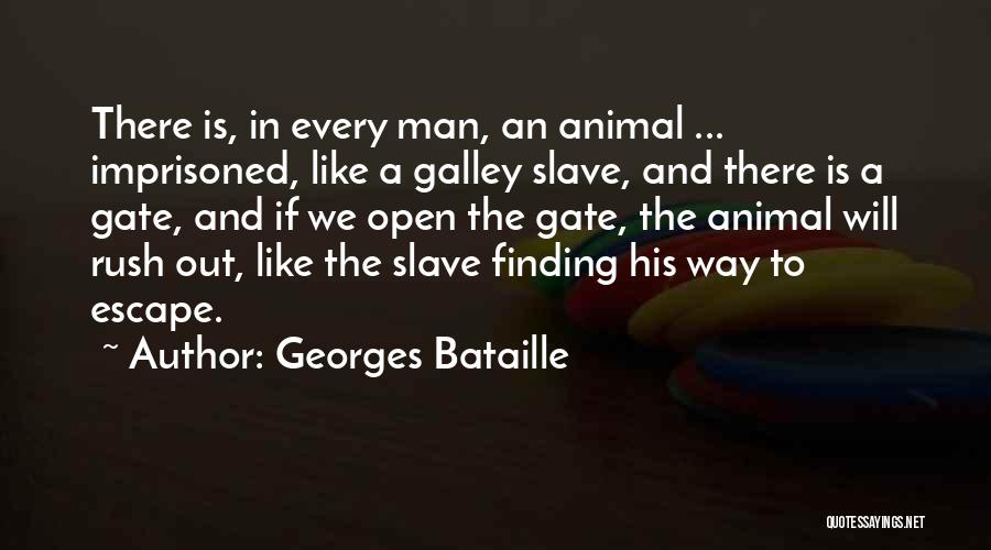 Finding Way Out Quotes By Georges Bataille