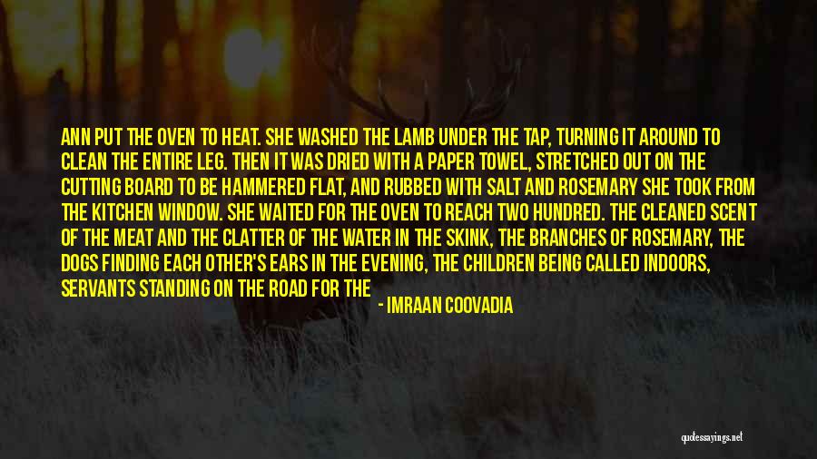 Finding Your Way Out Of The Darkness Quotes By Imraan Coovadia