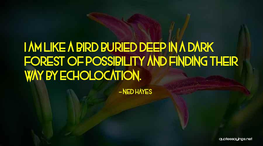 Finding Yourself In The Dark Quotes By Ned Hayes Finding Yourself In The Dark Quotes By Ned Hayes