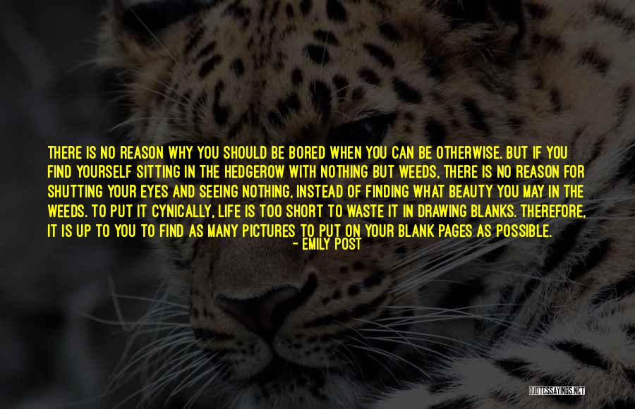 Finding Yourself Short Quotes By Emily Post Finding Yourself Short Quotes By Emily Post