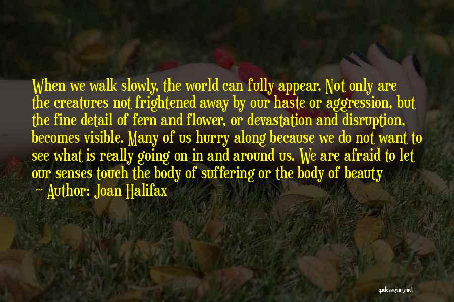 Fine Detail Quotes By Joan Halifax