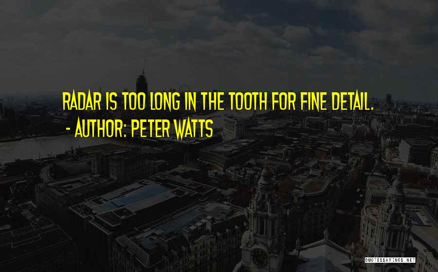 Fine Detail Quotes By Peter Watts