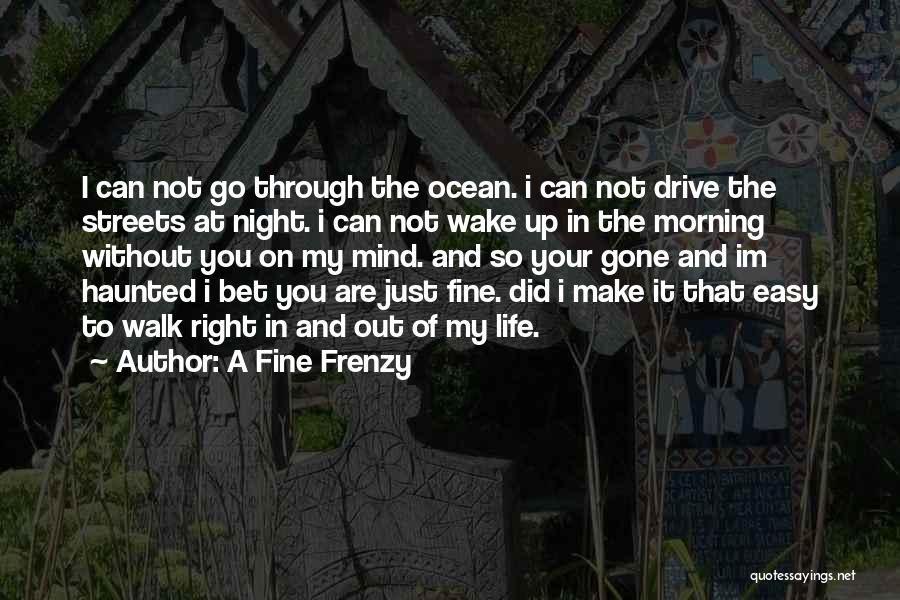 Fine Frenzy Quotes By A Fine Frenzy