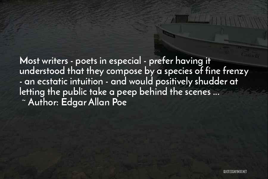 Fine Frenzy Quotes By Edgar Allan Poe