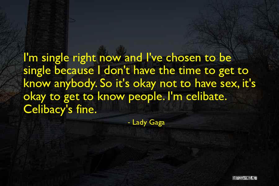 Fine Lady Quotes By Lady Gaga