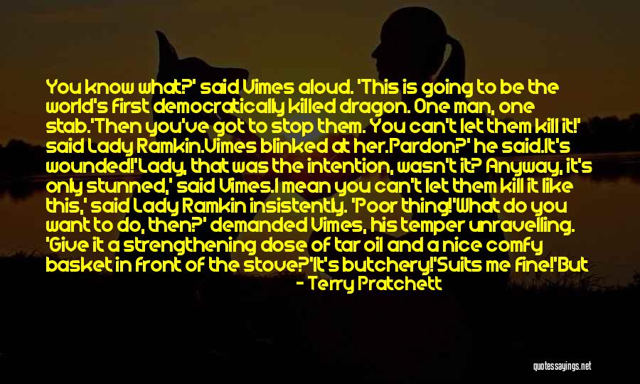 Fine Lady Quotes By Terry Pratchett