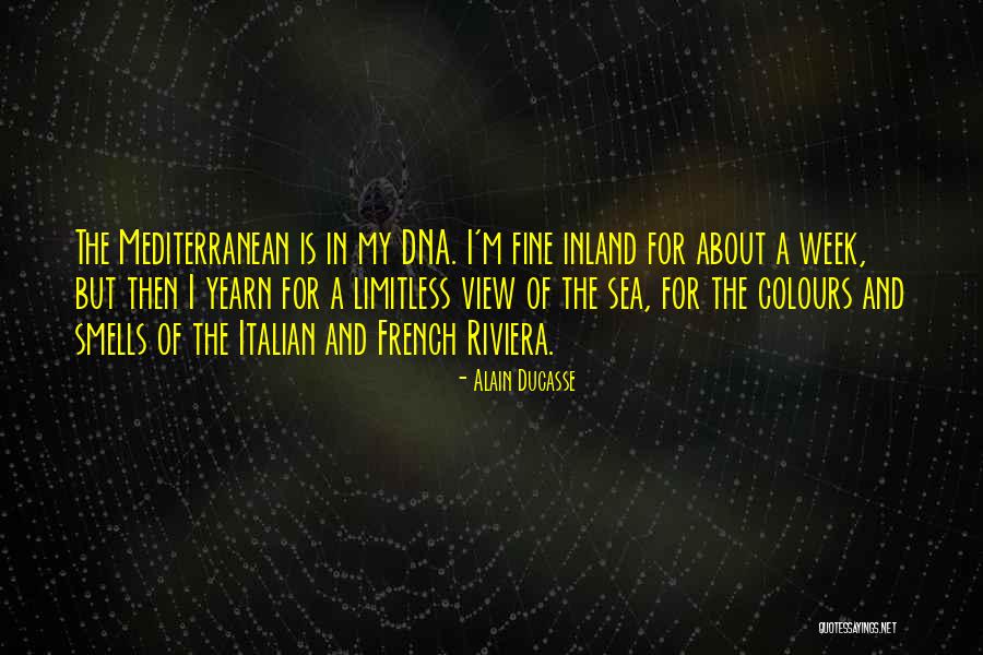 Fine Then Quotes By Alain Ducasse Fine Then Quotes By Alain Ducasse