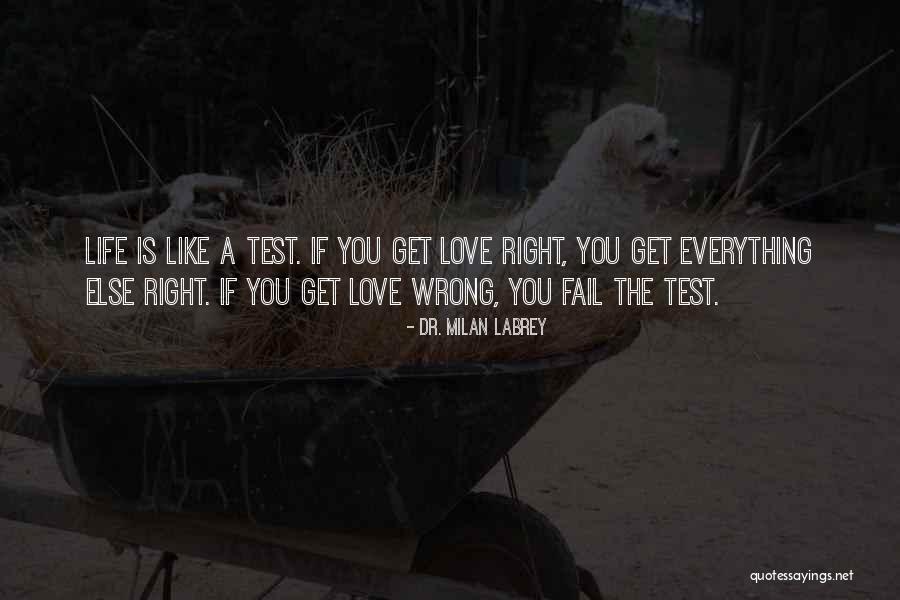 Finelli Ironworks Quotes By Dr. Milan LaBrey Finelli Ironworks Quotes By Dr. Milan LaBrey