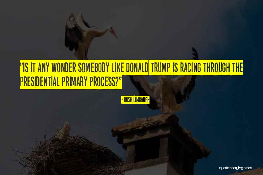 Fing Quotes By Rush Limbaugh Fing Quotes By Rush Limbaugh