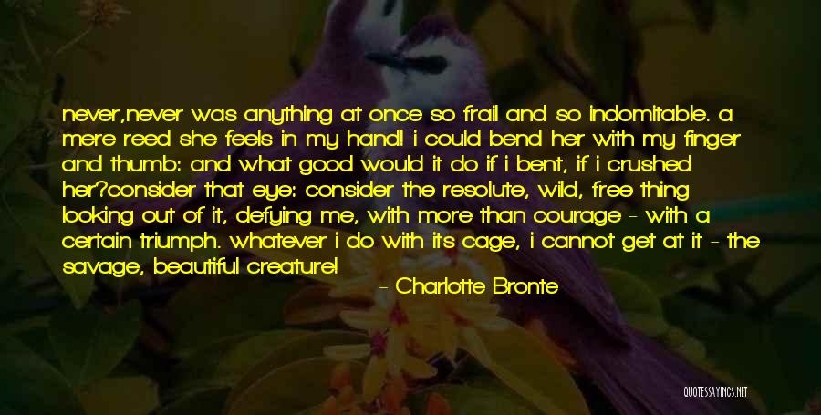 Finger Me Quotes By Charlotte Bronte