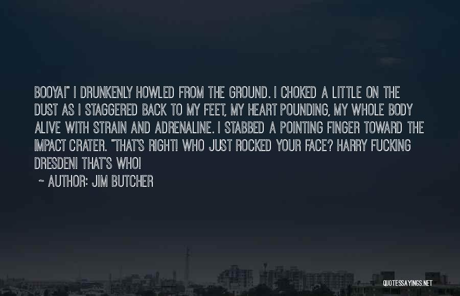 Finger Pointing Quotes By Jim Butcher