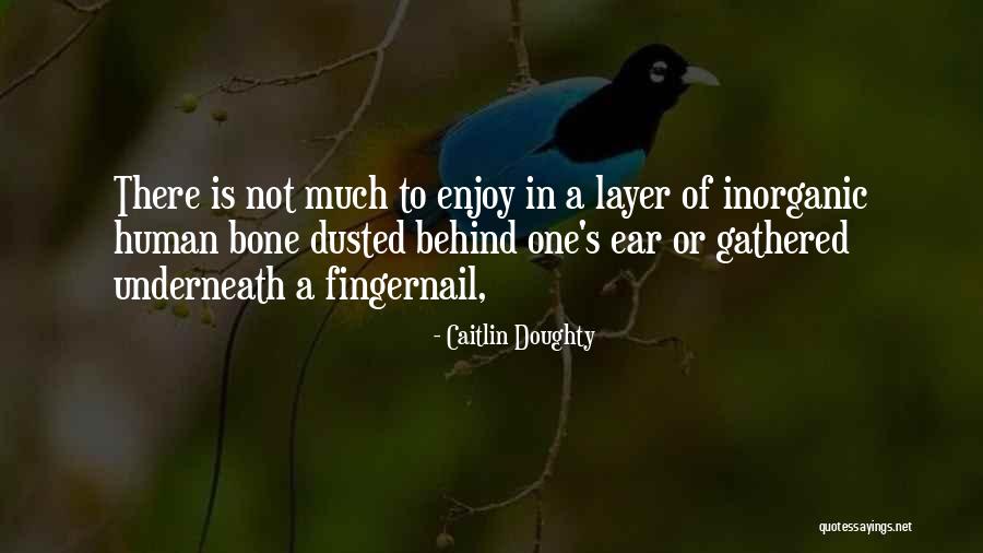 Fingernail Quotes By Caitlin Doughty Fingernail Quotes By Caitlin Doughty