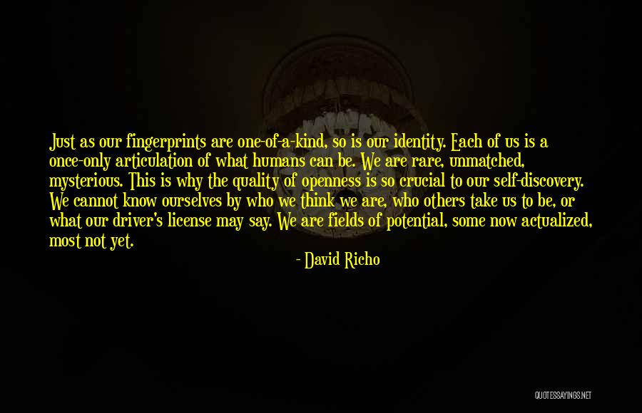 Fingerprints Quotes By David Richo