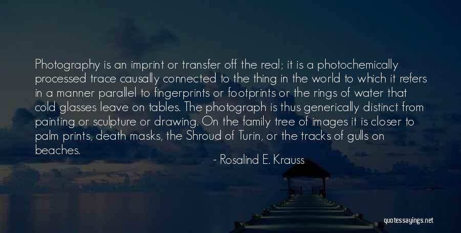 Fingerprints Quotes By Rosalind E. Krauss