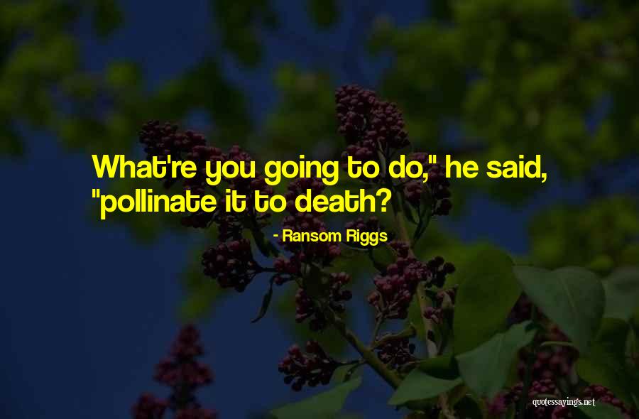 Fingolfin Names Quotes By Ransom Riggs Fingolfin Names Quotes By Ransom Riggs
