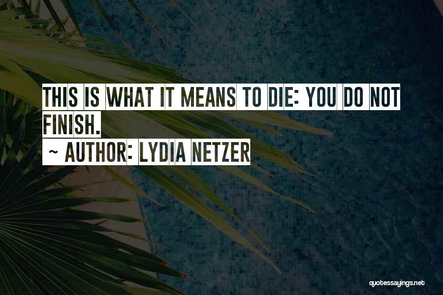 Finish Quotes By Lydia Netzer