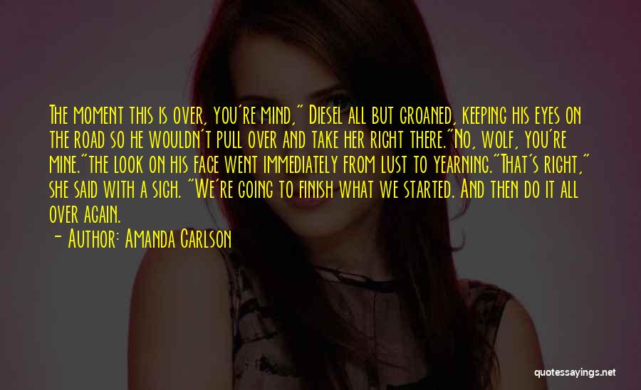 Finish What You've Started Quotes By Amanda Carlson