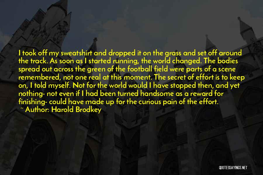 Finishing What You Started Quotes By Harold Brodkey