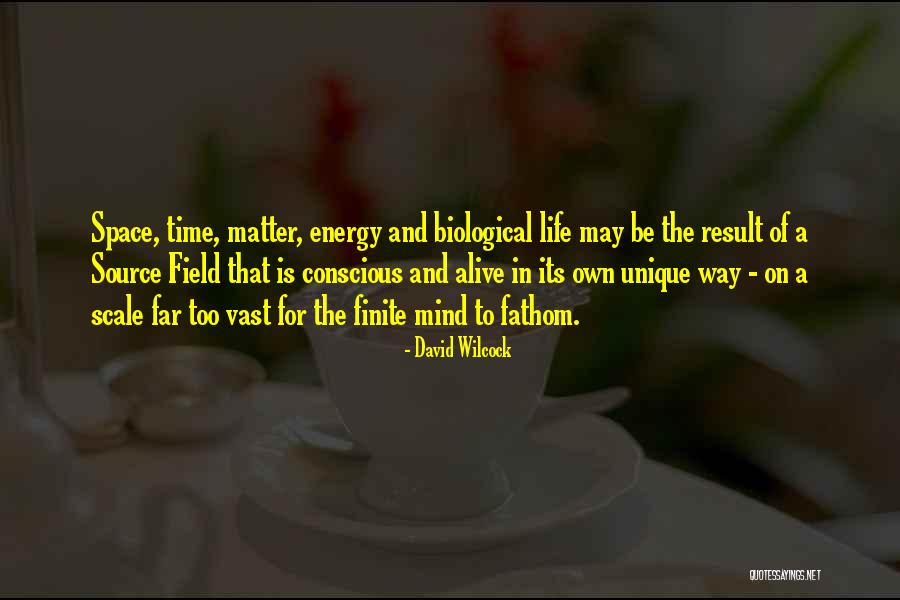 Finite Life Quotes By David Wilcock Finite Life Quotes By David Wilcock