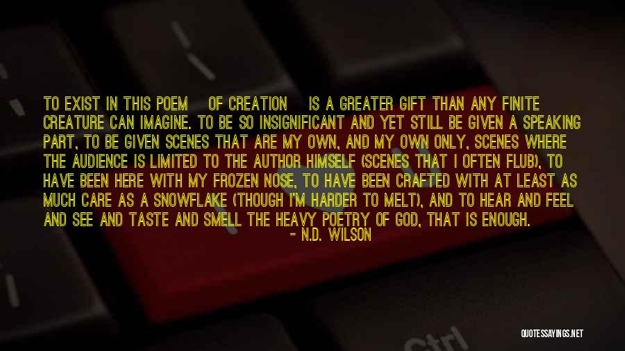 Finite Life Quotes By N.D. Wilson Finite Life Quotes By N.D. Wilson