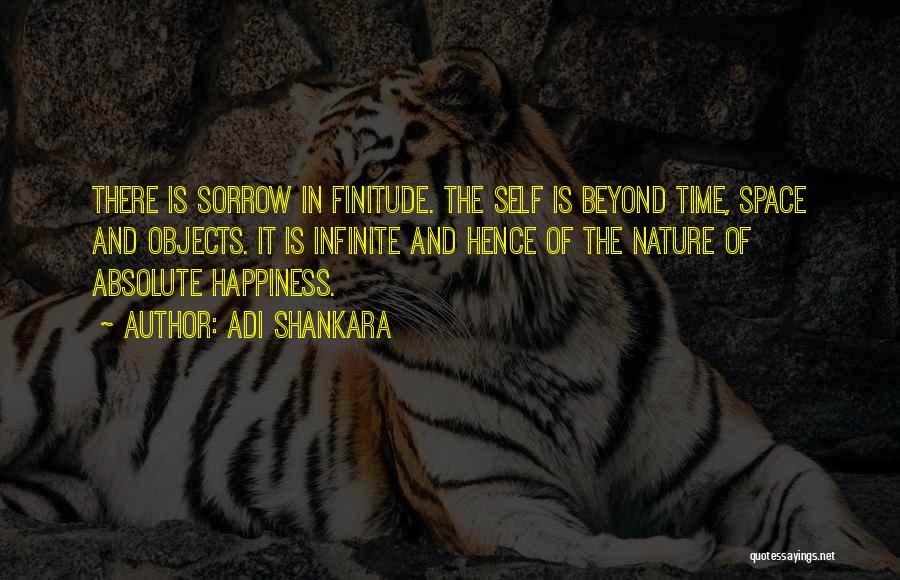 Finitude Quotes By Adi Shankara