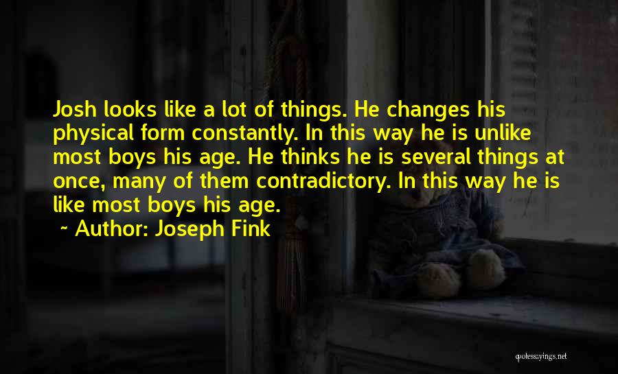 Fink Quotes By Joseph Fink