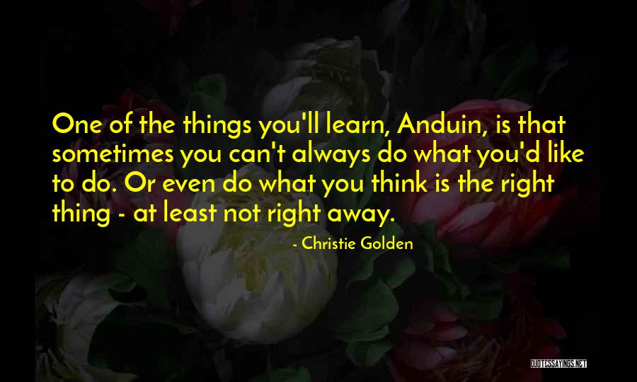 Finkbeiner Lifts Quotes By Christie Golden Finkbeiner Lifts Quotes By Christie Golden