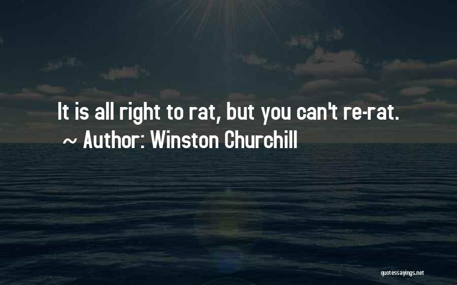 Finkley Quotes By Winston Churchill