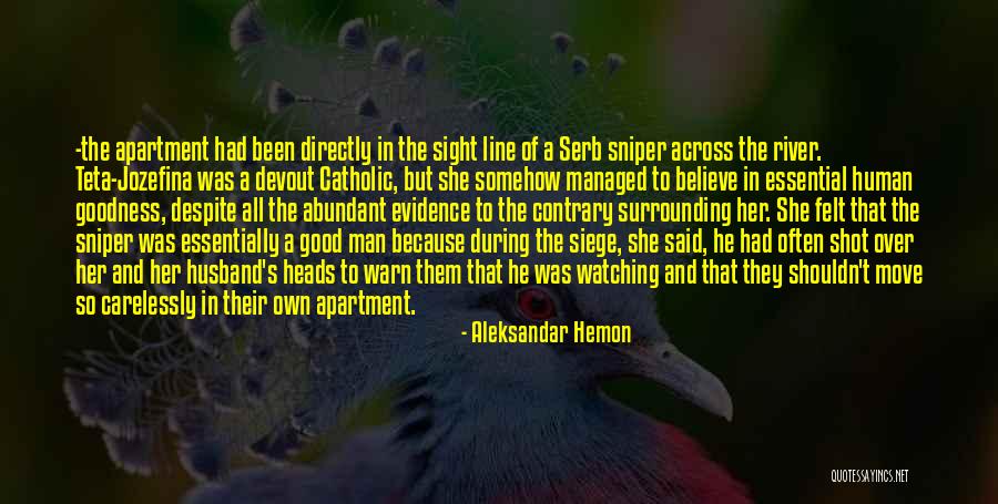 Finnbar Whelan Quotes By Aleksandar Hemon Finnbar Whelan Quotes By Aleksandar Hemon