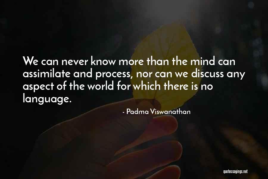 Finnikin Drug Quotes By Padma Viswanathan Finnikin Drug Quotes By Padma Viswanathan