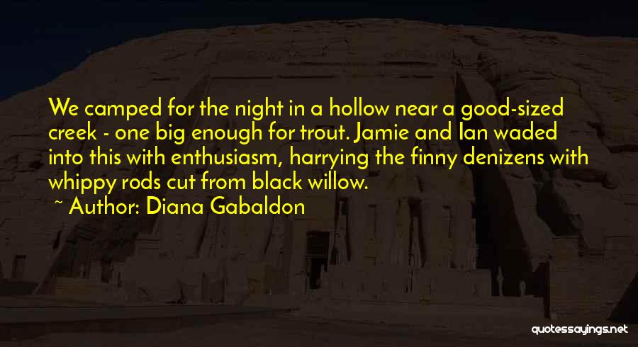 Finny Quotes By Diana Gabaldon