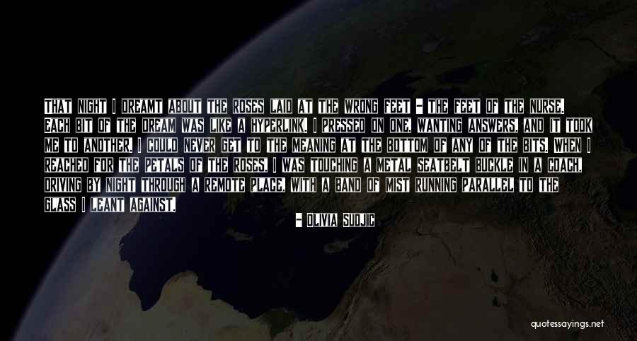 Finse Webcam Quotes By Olivia Sudjic Finse Webcam Quotes By Olivia Sudjic