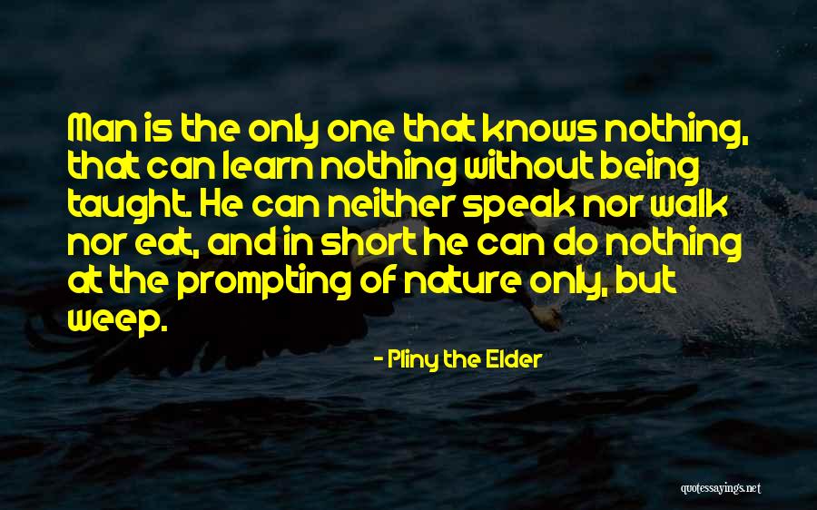 Finucanes Flooring Quotes By Pliny The Elder Finucanes Flooring Quotes By Pliny The Elder