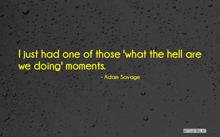 Fioravante Settembre Quotes By Adam Savage Fioravante Settembre Quotes By Adam Savage