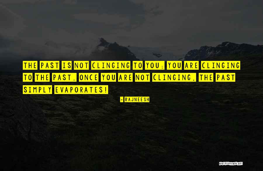Fiquem Na Quotes By Rajneesh Fiquem Na Quotes By Rajneesh