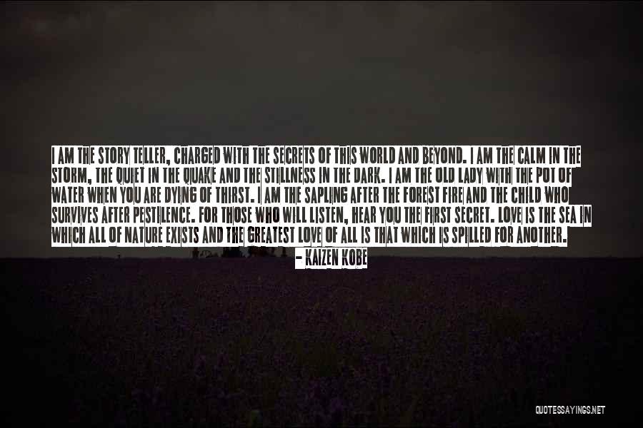 Fire After Dark Quotes By Kaizen Kobe Fire After Dark Quotes By Kaizen Kobe