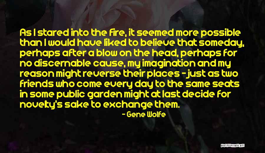 Fire And Friends Quotes By Gene Wolfe Fire And Friends Quotes By Gene Wolfe