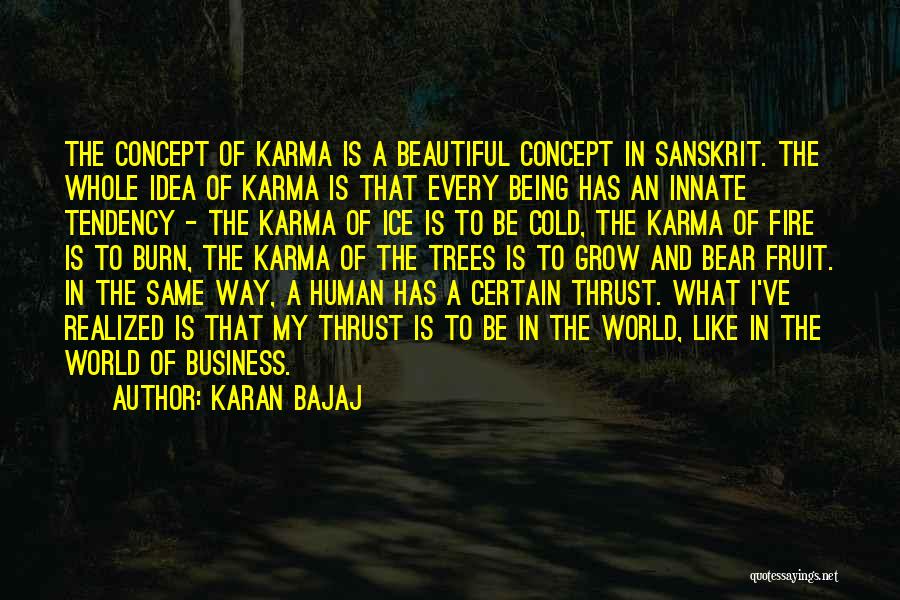 Fire And Ice Quotes By Karan Bajaj