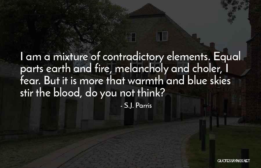 Fire And Warmth Quotes By S.J. Parris Fire And Warmth Quotes By S.J. Parris