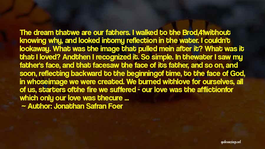 Fire And Water Love Quotes By Jonathan Safran Foer