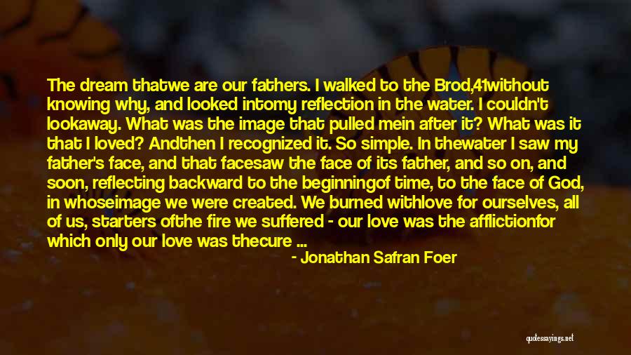 Fire And Water Love Quotes By Jonathan Safran Foer