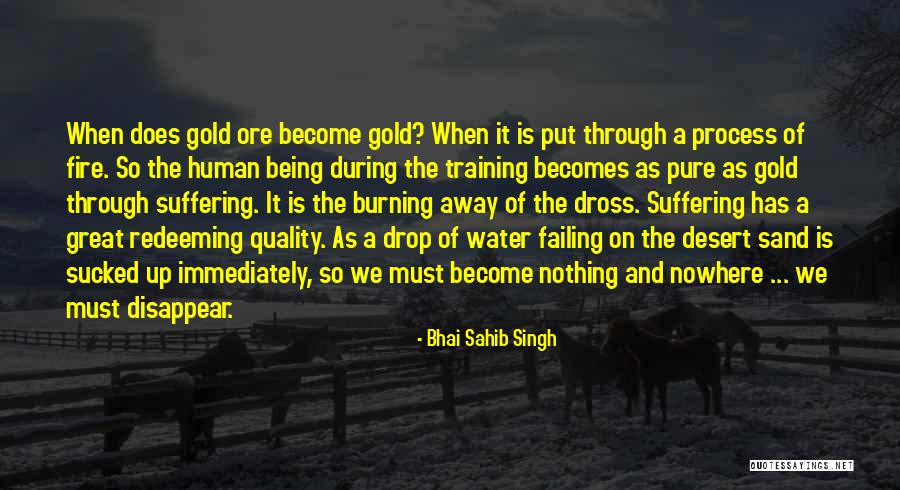 Fire And Water Quotes By Bhai Sahib Singh