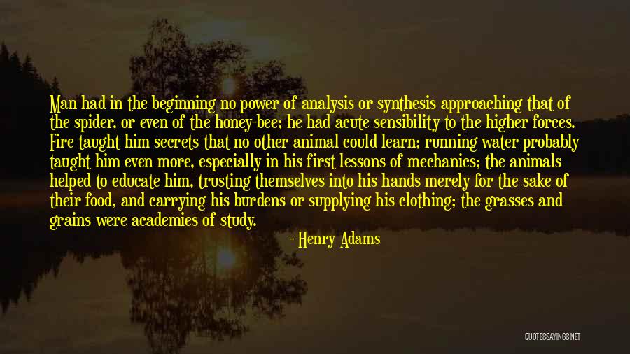 Fire And Water Quotes By Henry Adams