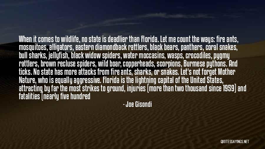 Fire And Water Quotes By Joe Gisondi