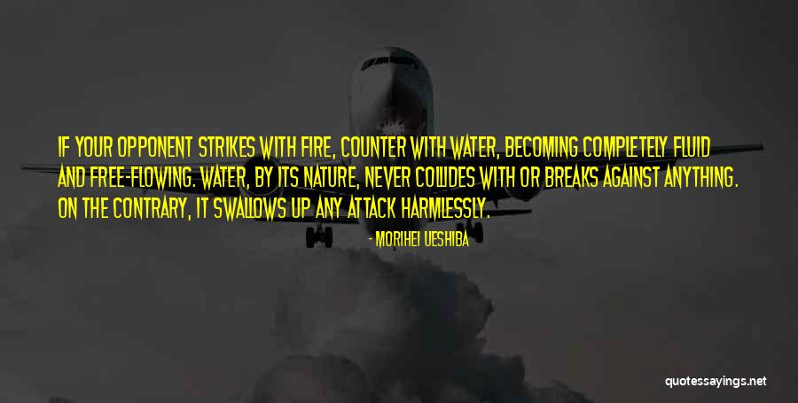 Fire And Water Quotes By Morihei Ueshiba