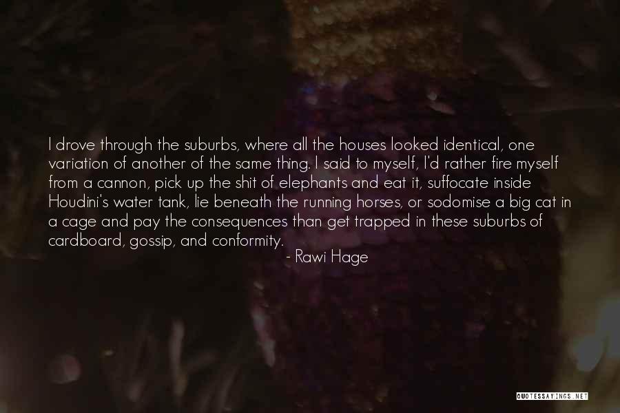 Fire And Water Quotes By Rawi Hage