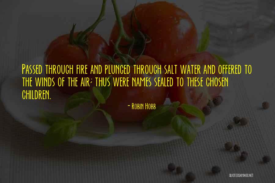 Fire And Water Quotes By Robin Hobb