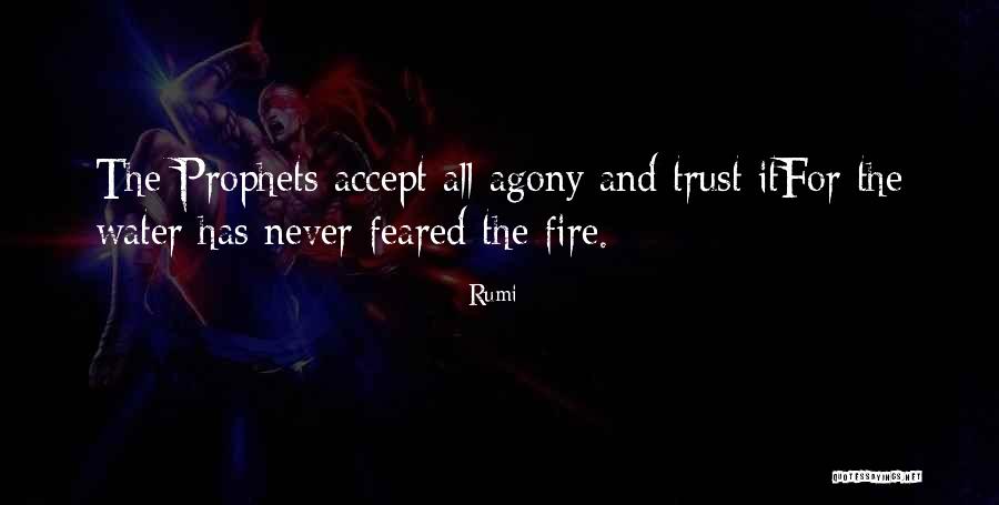 Fire And Water Quotes By Rumi