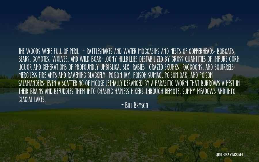Fire Ants Quotes By Bill Bryson Fire Ants Quotes By Bill Bryson