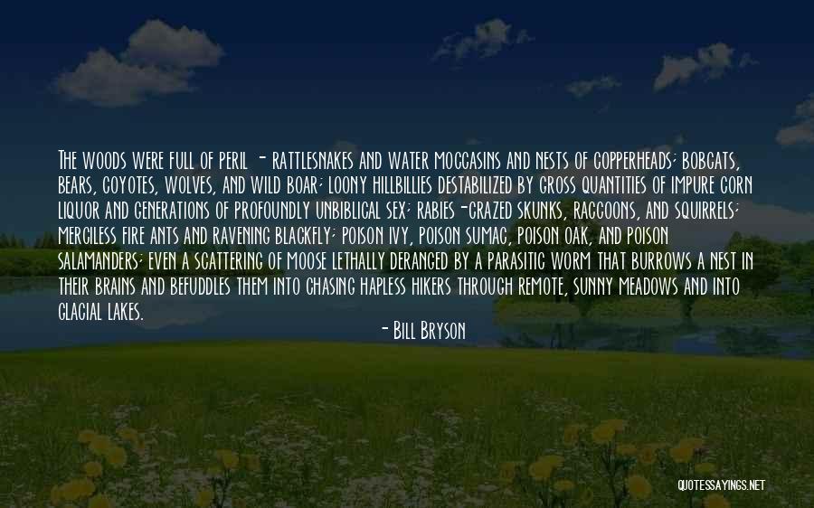 Fire Ants Quotes By Bill Bryson